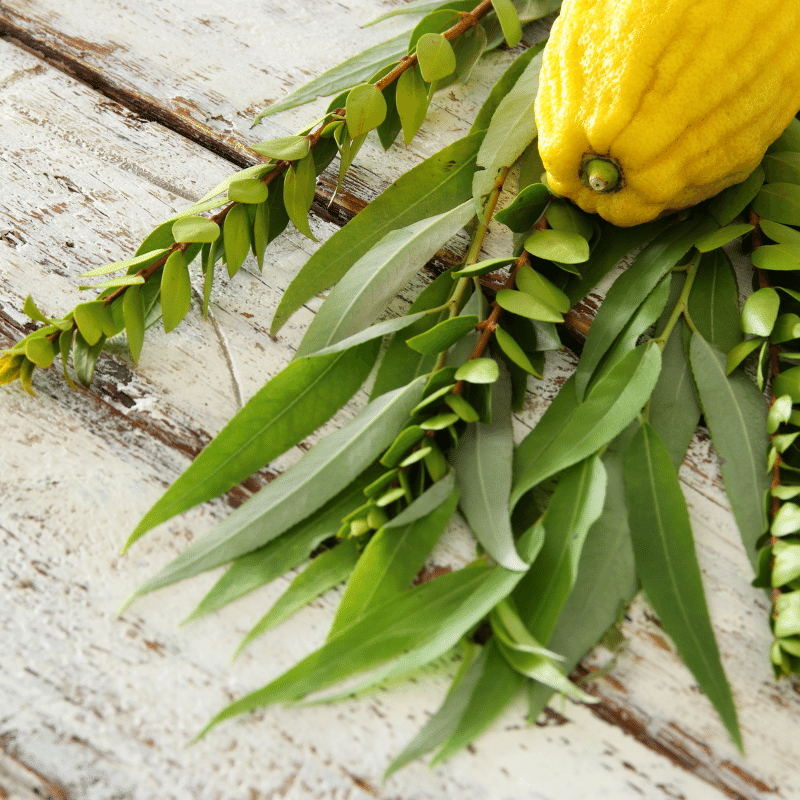 5 Sukkot Traditions Explained