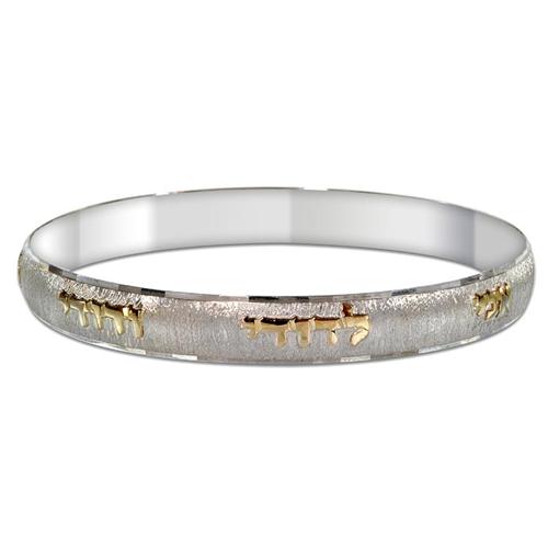 Ani L'Dodi Bangle Bracelet in Brushed Silver and Gold