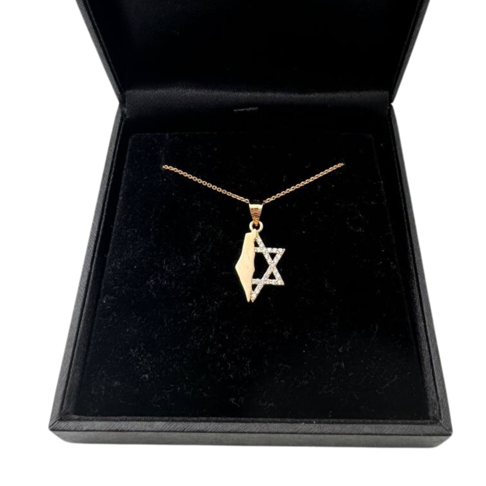 Israel Map with Star of David in 14K Gold Pendant with CZ