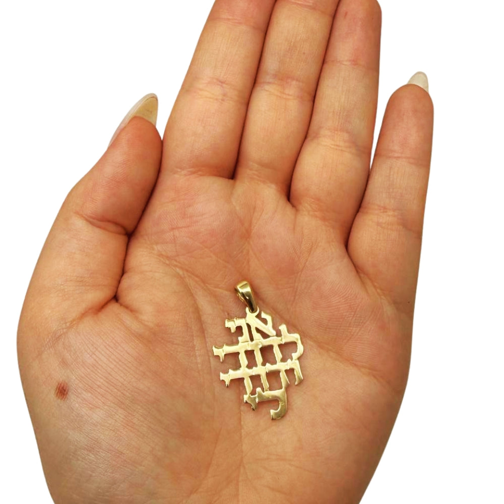 14K Gold Ani L'dodi Pendant