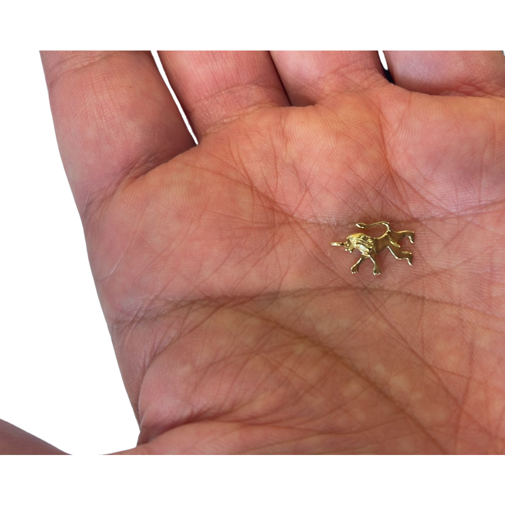 Tiny 14K Gold Tribe of Judah Lion Pendant