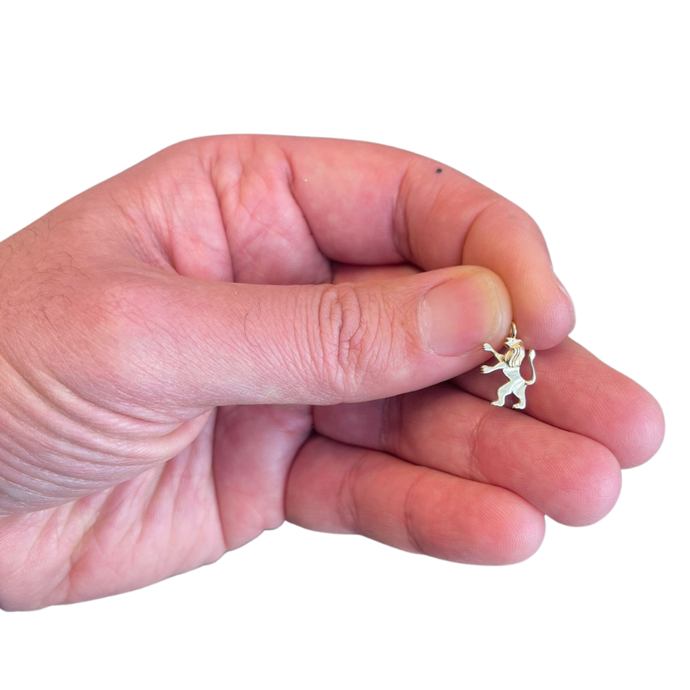 Tiny 14K Gold Tribe of Judah Lion Pendant