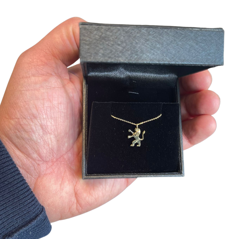 Tiny 14K Gold Tribe of Judah Lion Pendant