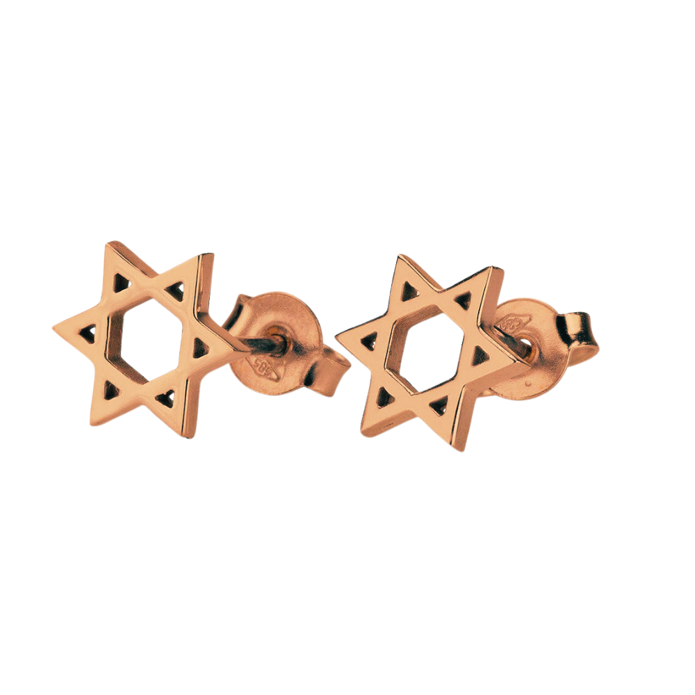 14K Gold Star of David Stud Earrings