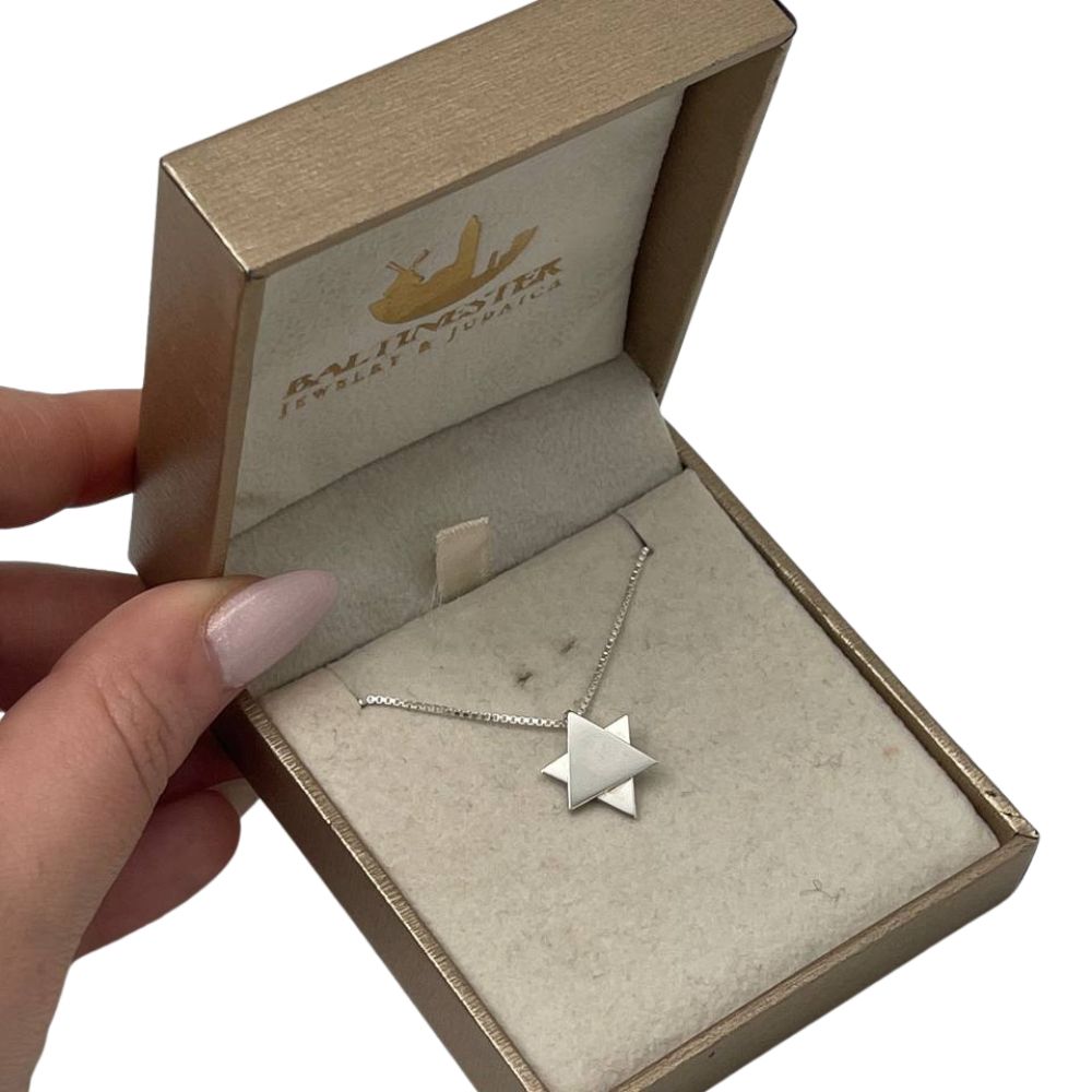 Star of David Necklace in Sterling Silver Movable Triangle