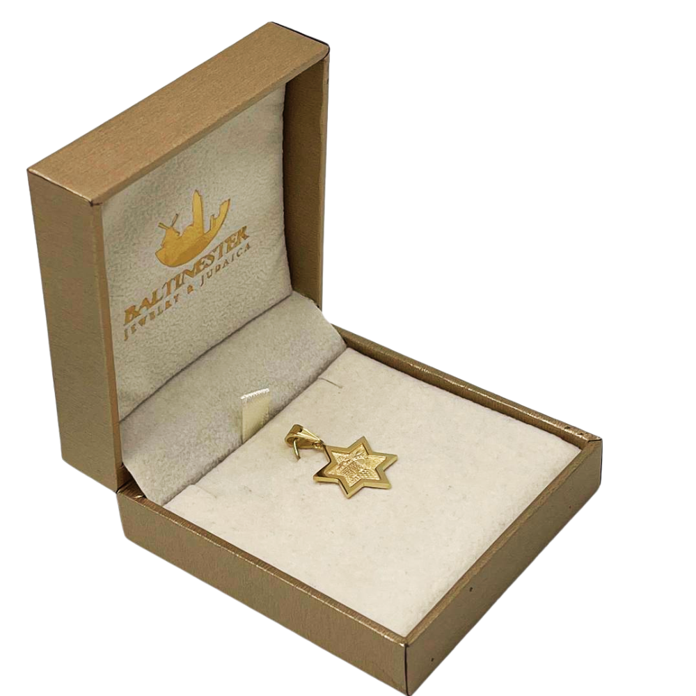 3D Jerusalem Star of David Pendant 14k Gold
