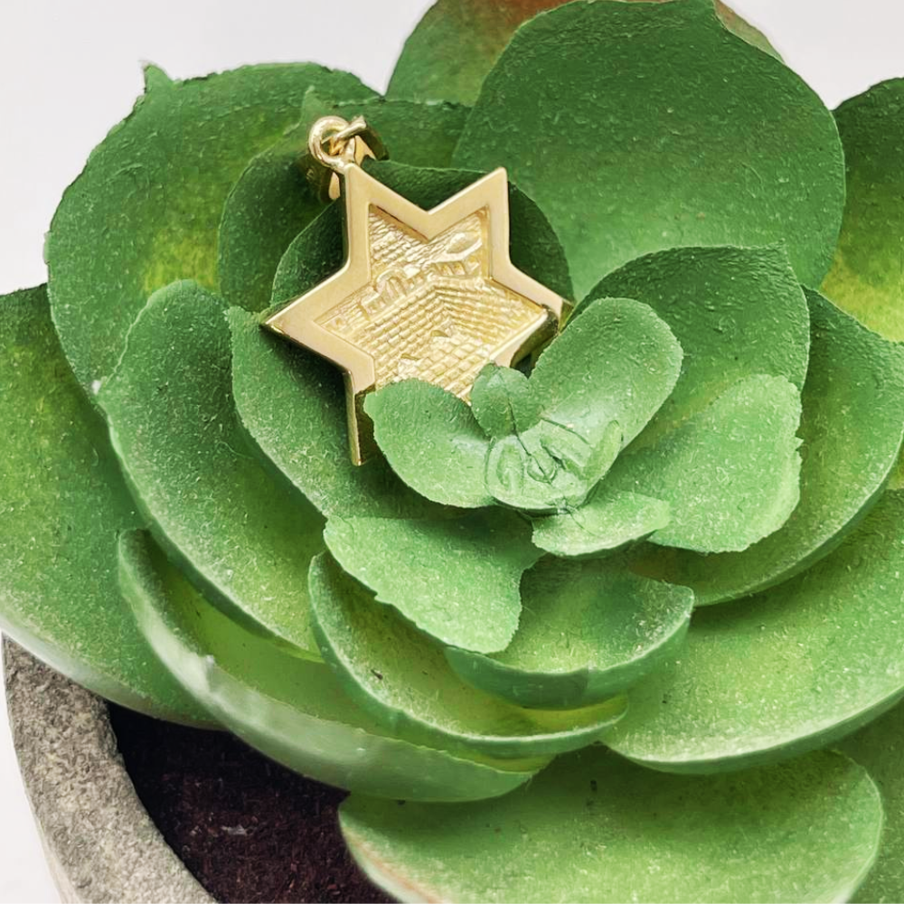 3D Jerusalem Star of David Pendant 14k Gold