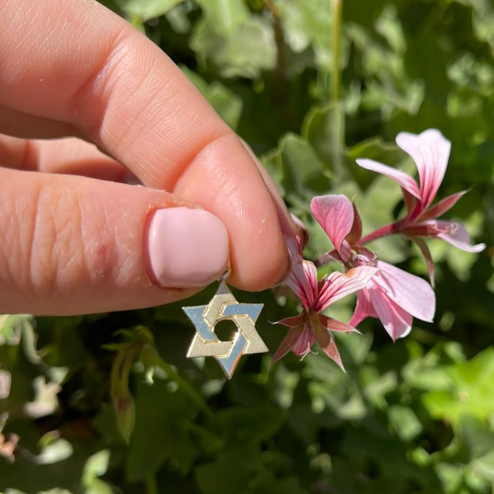 14k Gold Interwoven Star of David Pendant