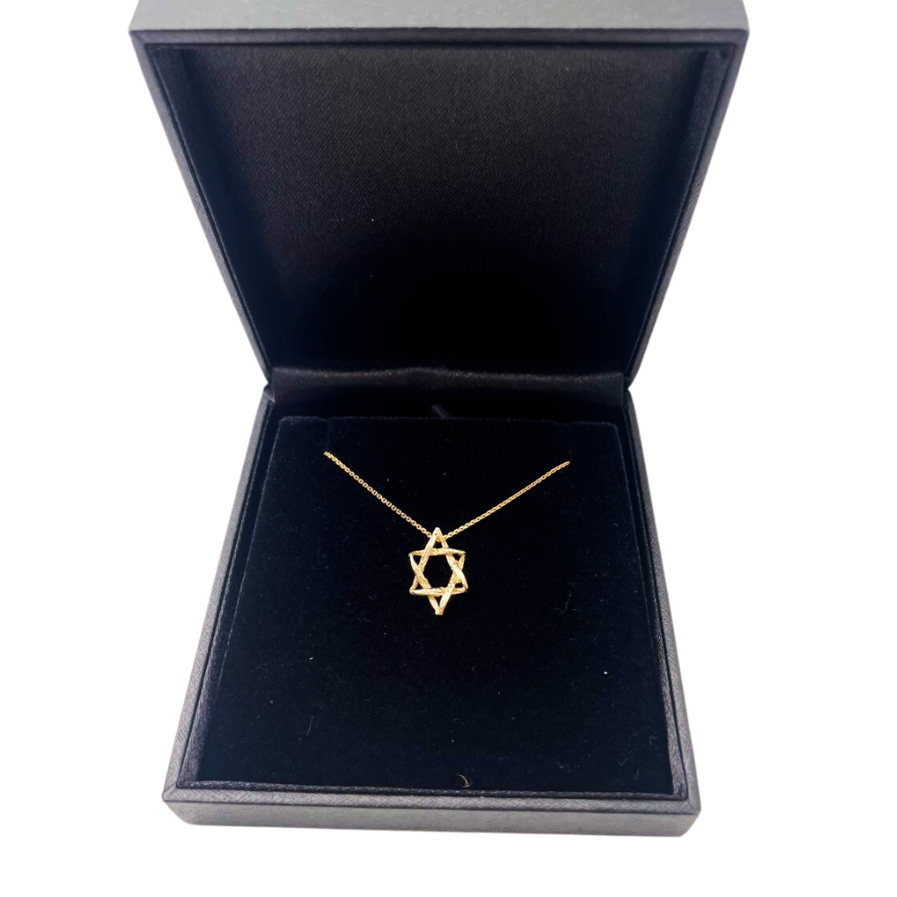 Star of David Necklace in 14K Gold Braided Style
