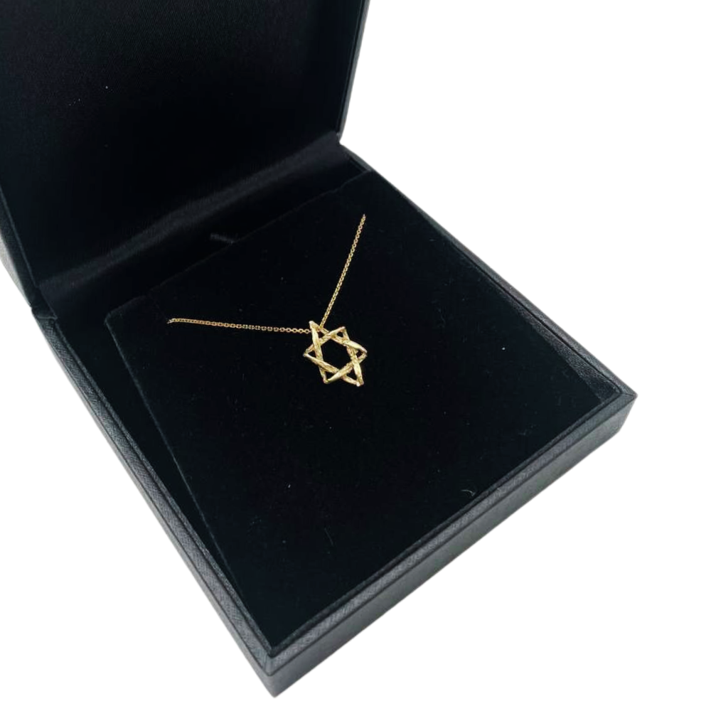 Star of David Necklace in 14K Gold Braided Style