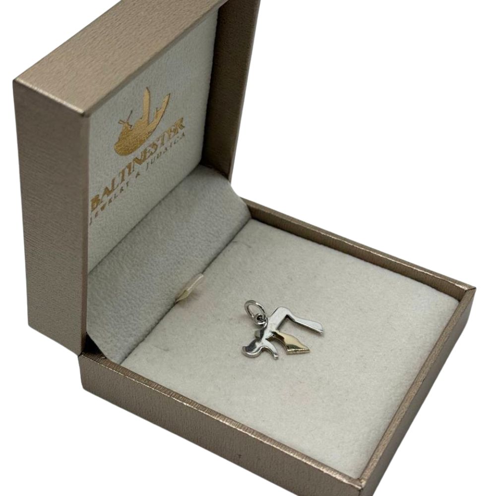 Sterling Silver & Gold Chai Pendant Necklace with Israel Map Accent