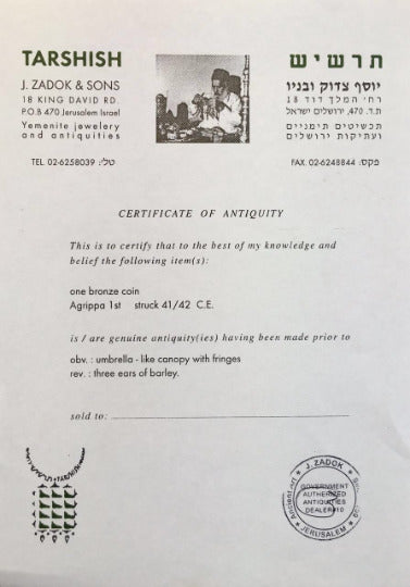 Sterling Silver Braided King Agrippa Coin Cufflinks