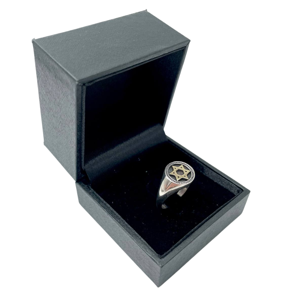 Star of David Signet Ring in 14k Gold and Silver