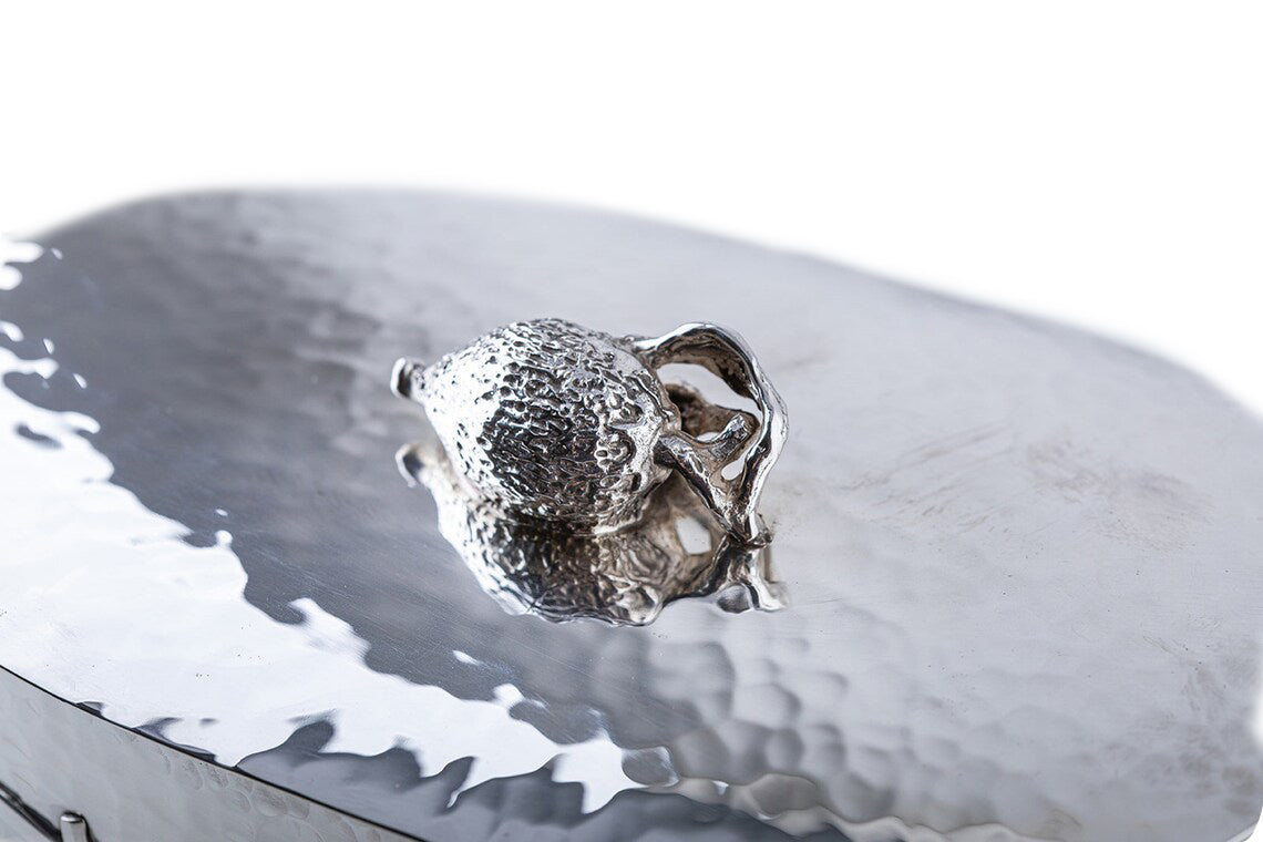 Hammered Sterling Silver Etrog Box