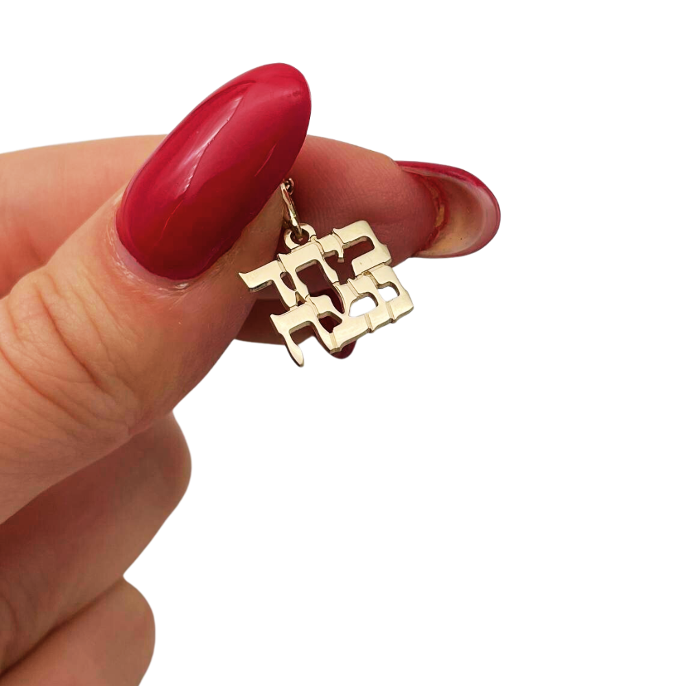 Together We Will Win Hebrew Pendant in 14K Gold - Support Israel