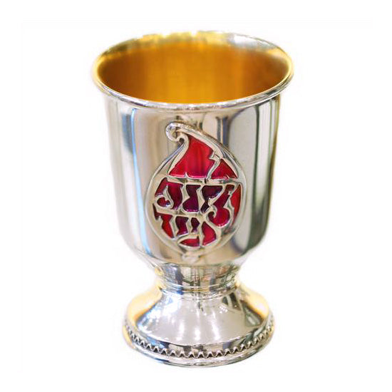 Silver Enamel Yalda Tova Kiddush Cup