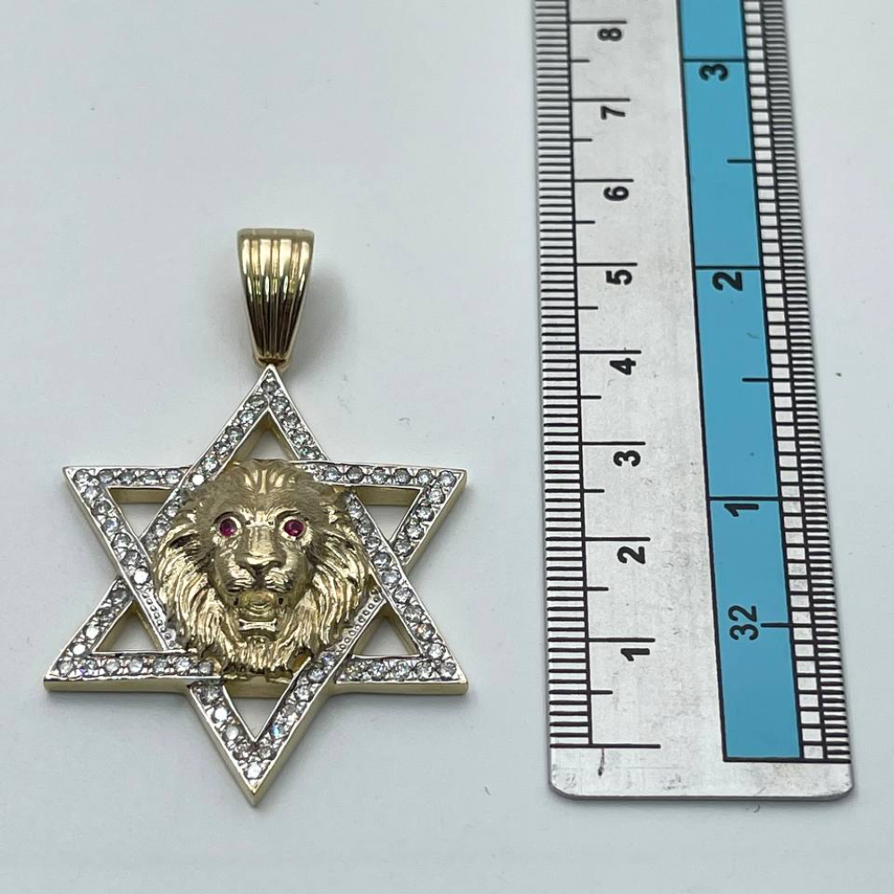 Star of David with Lion of Judah Pendant For Men in 14K Gold with Diamonds & Rubies