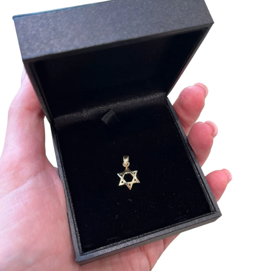 14K Gold Curved 3D Star of David Pendant