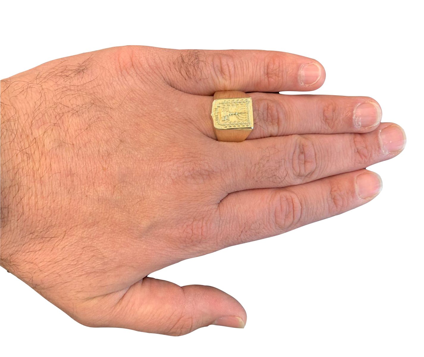 Emblem of Israel Signet Ring in 14K Gold