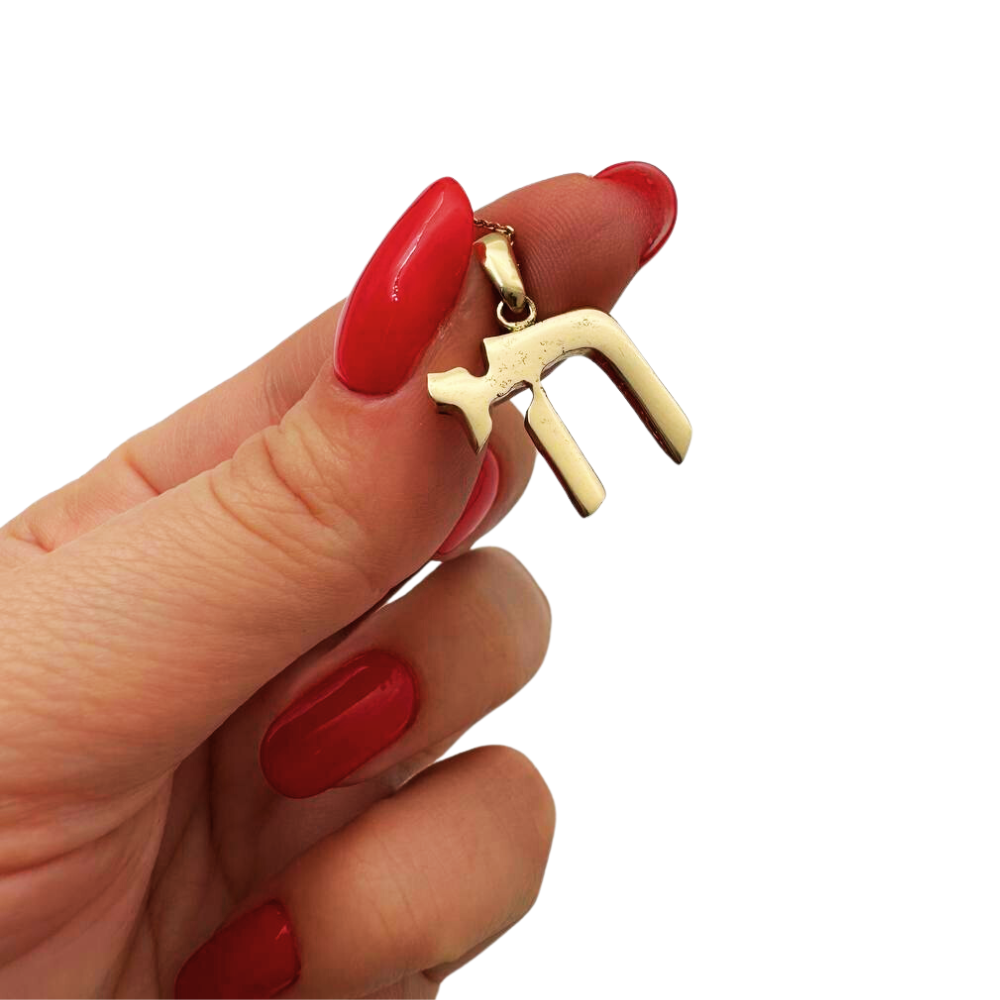 14k Gold Hai Pendant