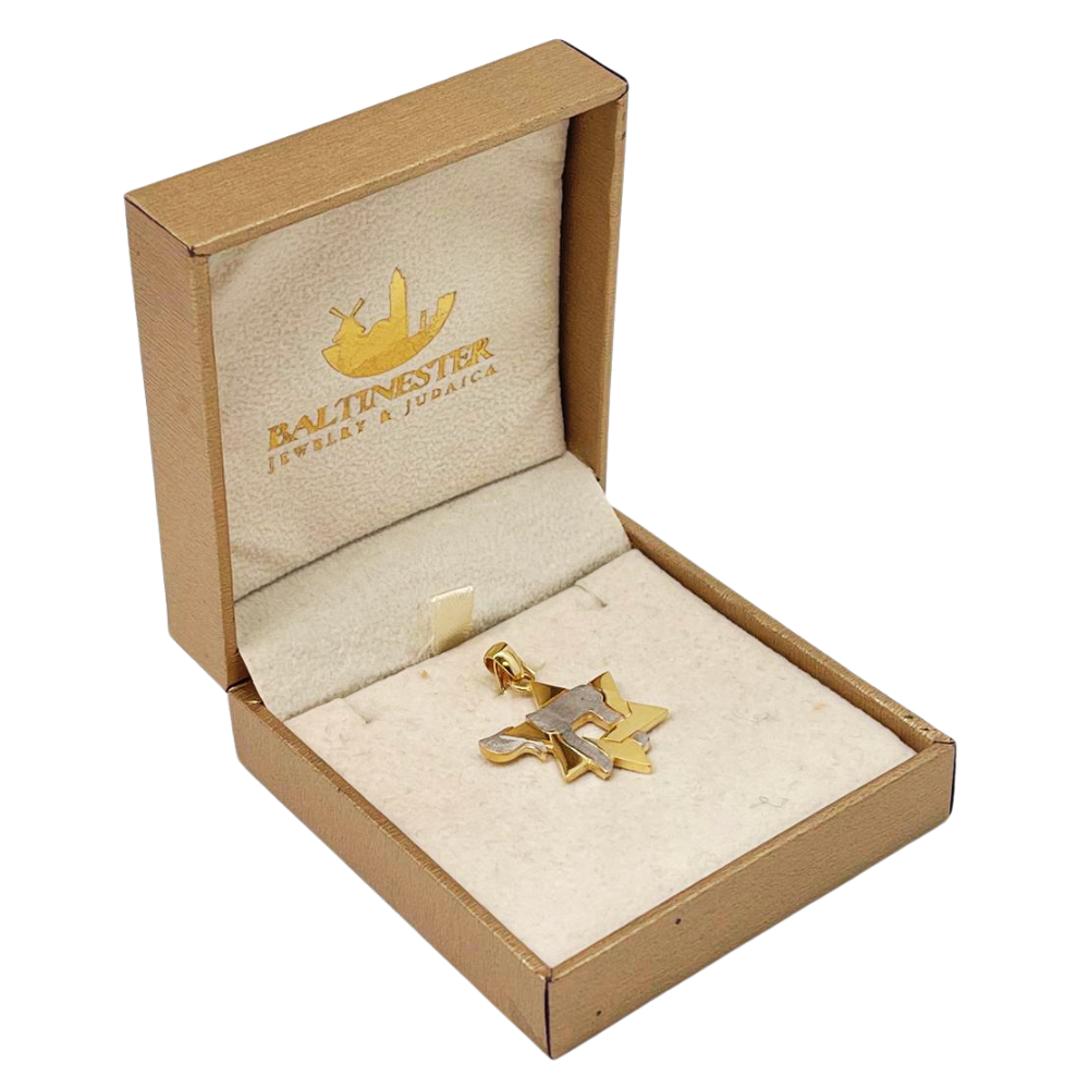 Star of David and Chai Pendant in 14K Gold