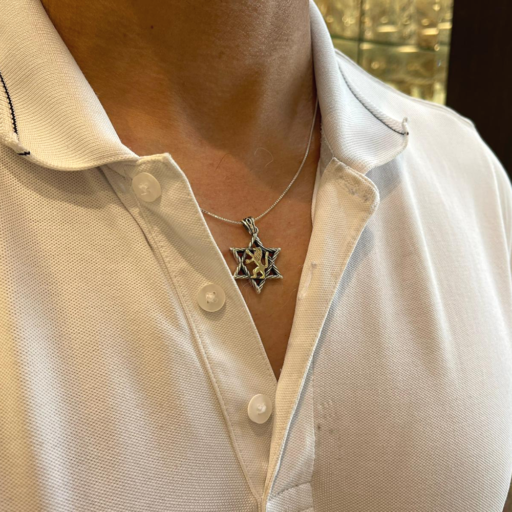 Lion of Judah & Star of David Necklace in 9K Gold and Silver
