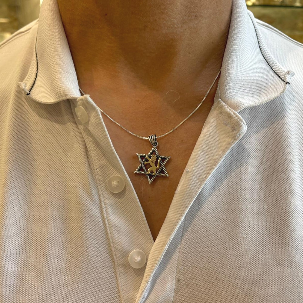 Lion of Judah & Star of David Necklace in 9K Gold and Silver