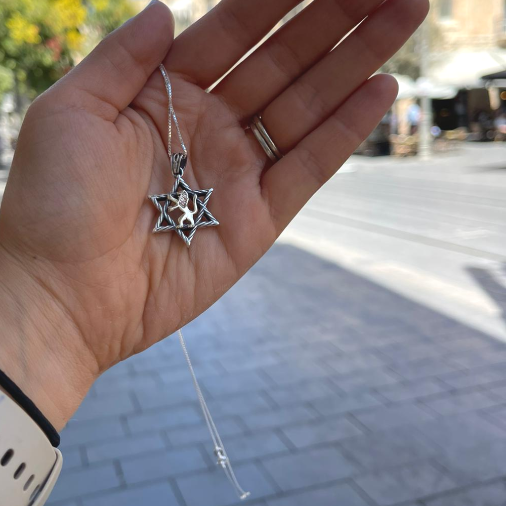 Lion of Judah & Star of David Necklace in 9K Gold and Silver