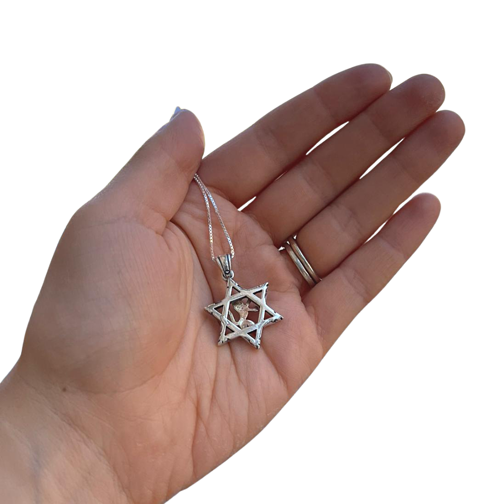 Lion of Judah & Star of David Necklace in 9K Gold and Silver