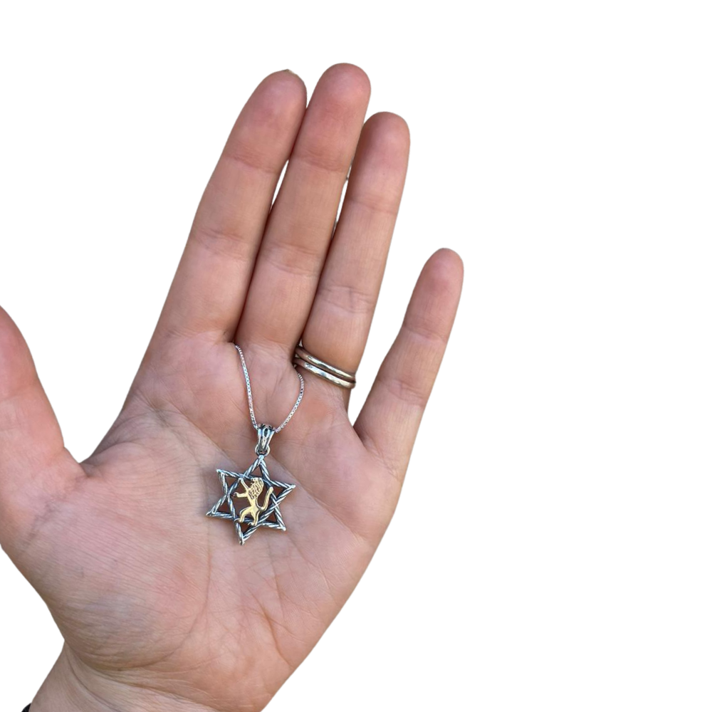 Lion of Judah & Star of David Necklace in 9K Gold and Silver