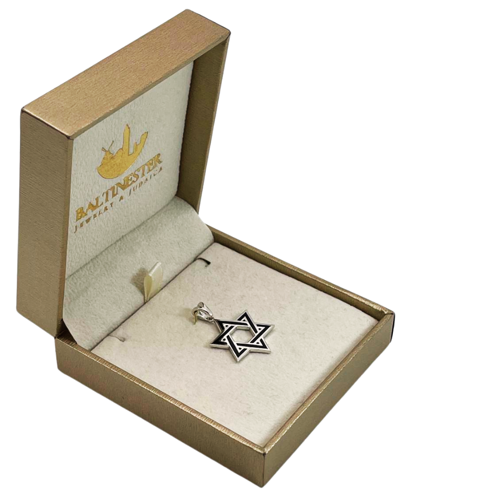 Star of David Pendant in 14K White Gold with Black Enamel