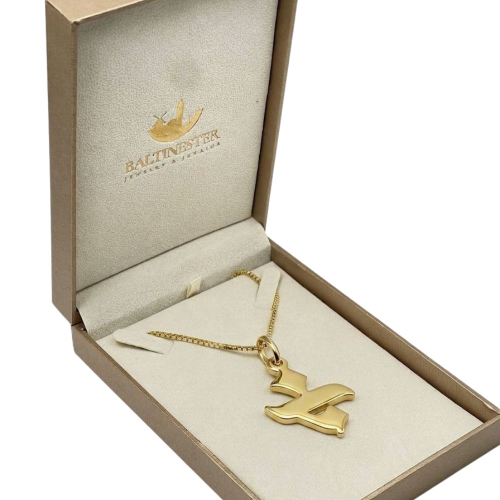 14K Gold Hebrew Letter Initial Necklace with Box Chain