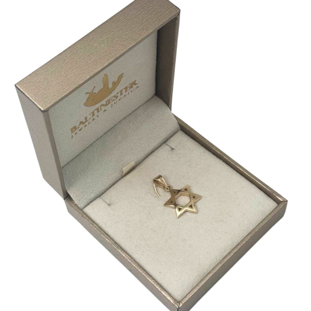 Domed 14k Gold Star of David Pendant in a Shiny Finish