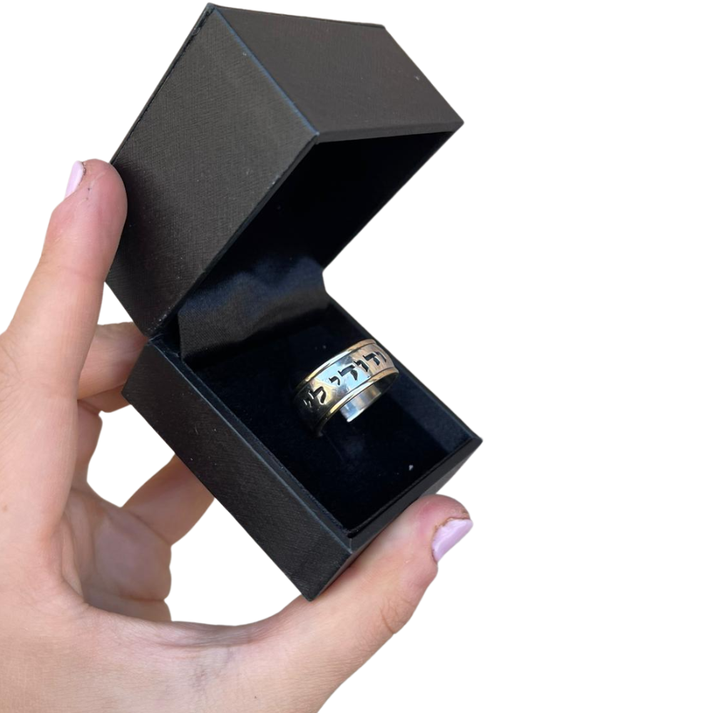 Sterling Silver Wide 14k Gold Bordered Ani Ledodi Ring