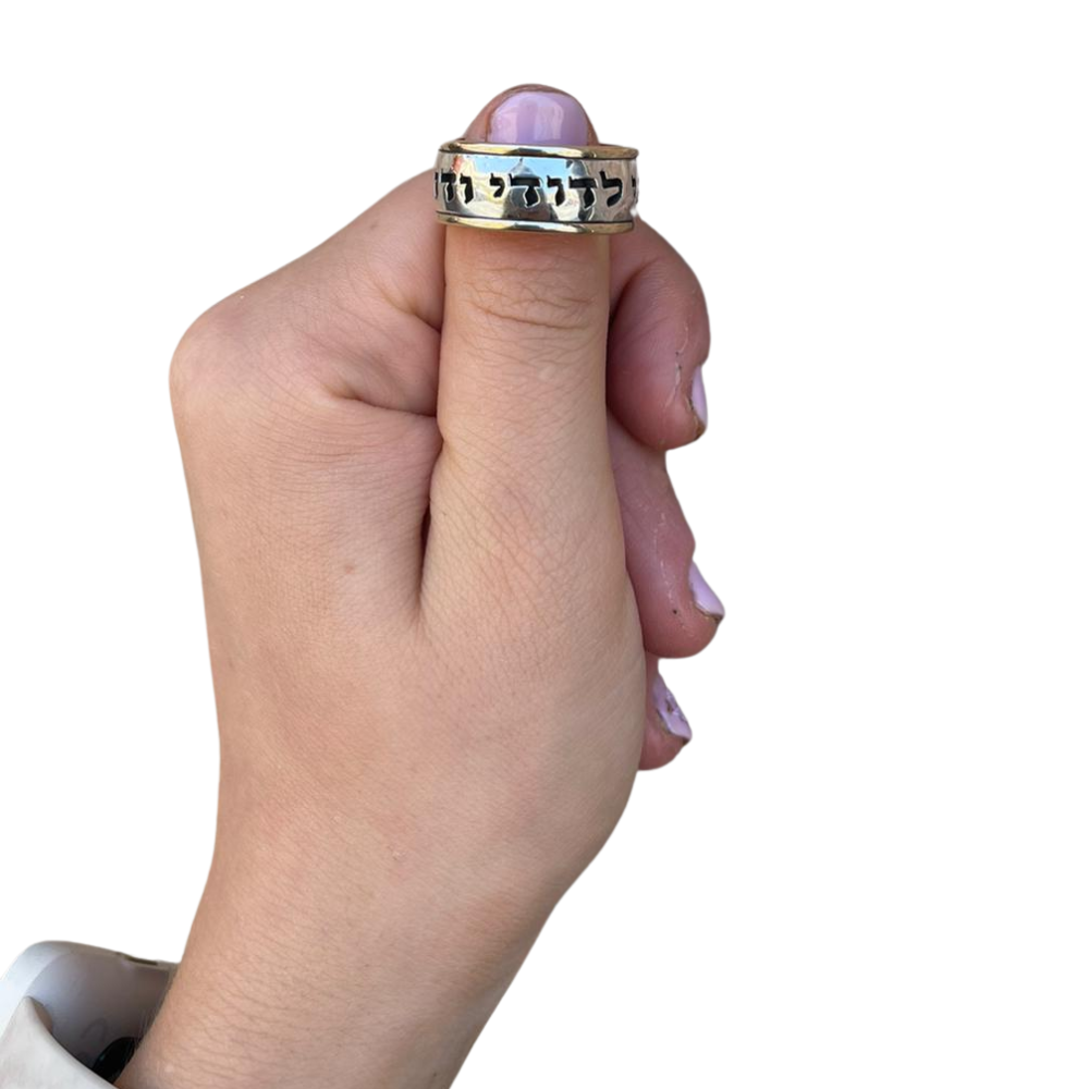 Sterling Silver Wide 14k Gold Bordered Ani Ledodi Ring