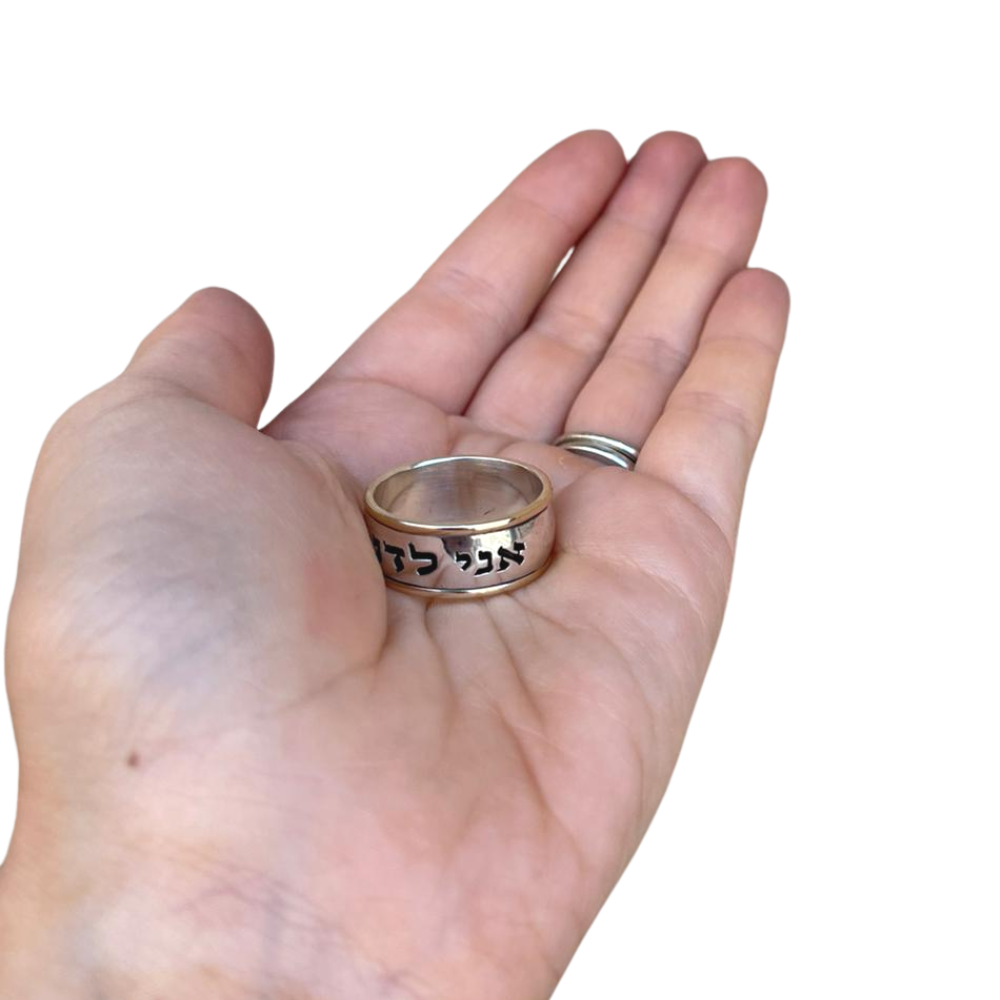 Sterling Silver Wide 14k Gold Bordered Ani Ledodi Ring