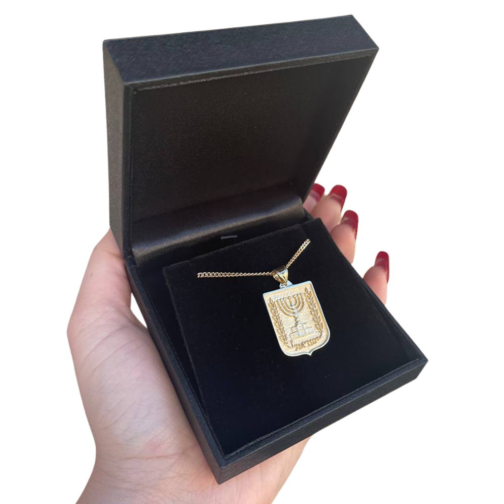 Emblem of Israel Pendant in 14k Yellow Gold