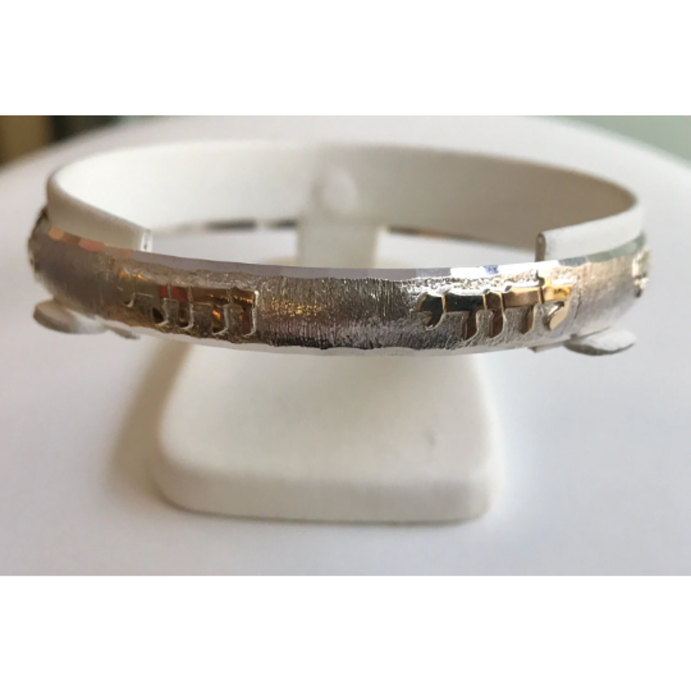 Ani L'Dodi Bangle Bracelet in Brushed Silver and Gold
