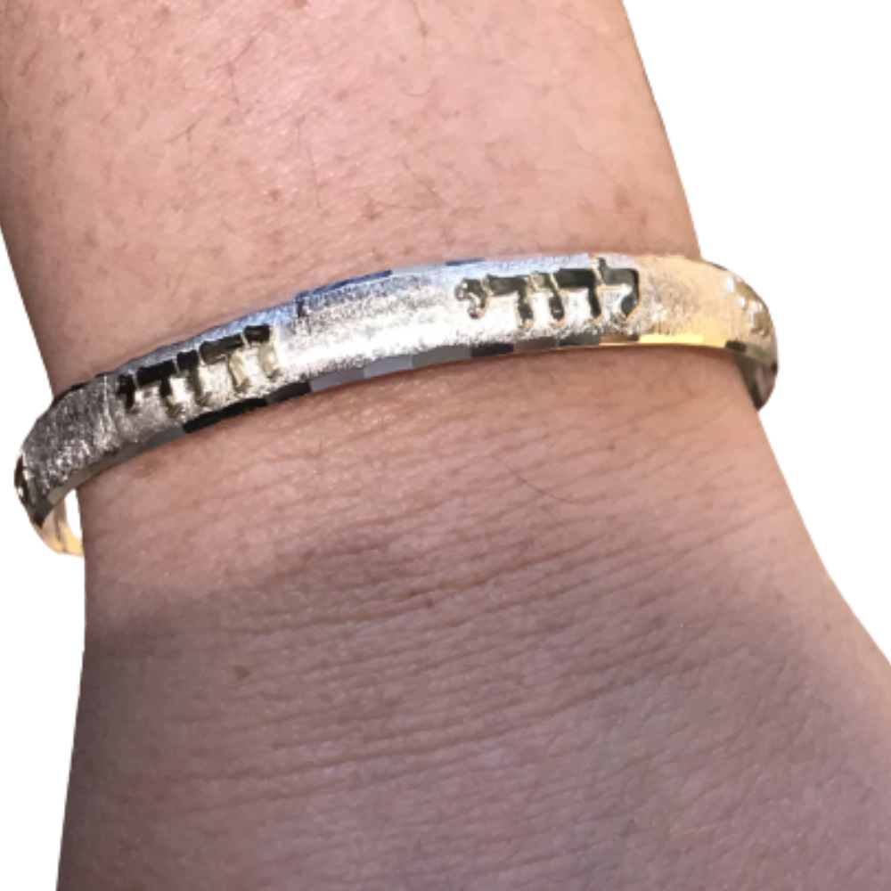 Ani L'Dodi Bangle Bracelet in Brushed Silver and Gold