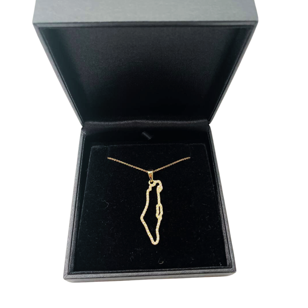 Diamond Studded Map of Israel Pendant in 14K Gold