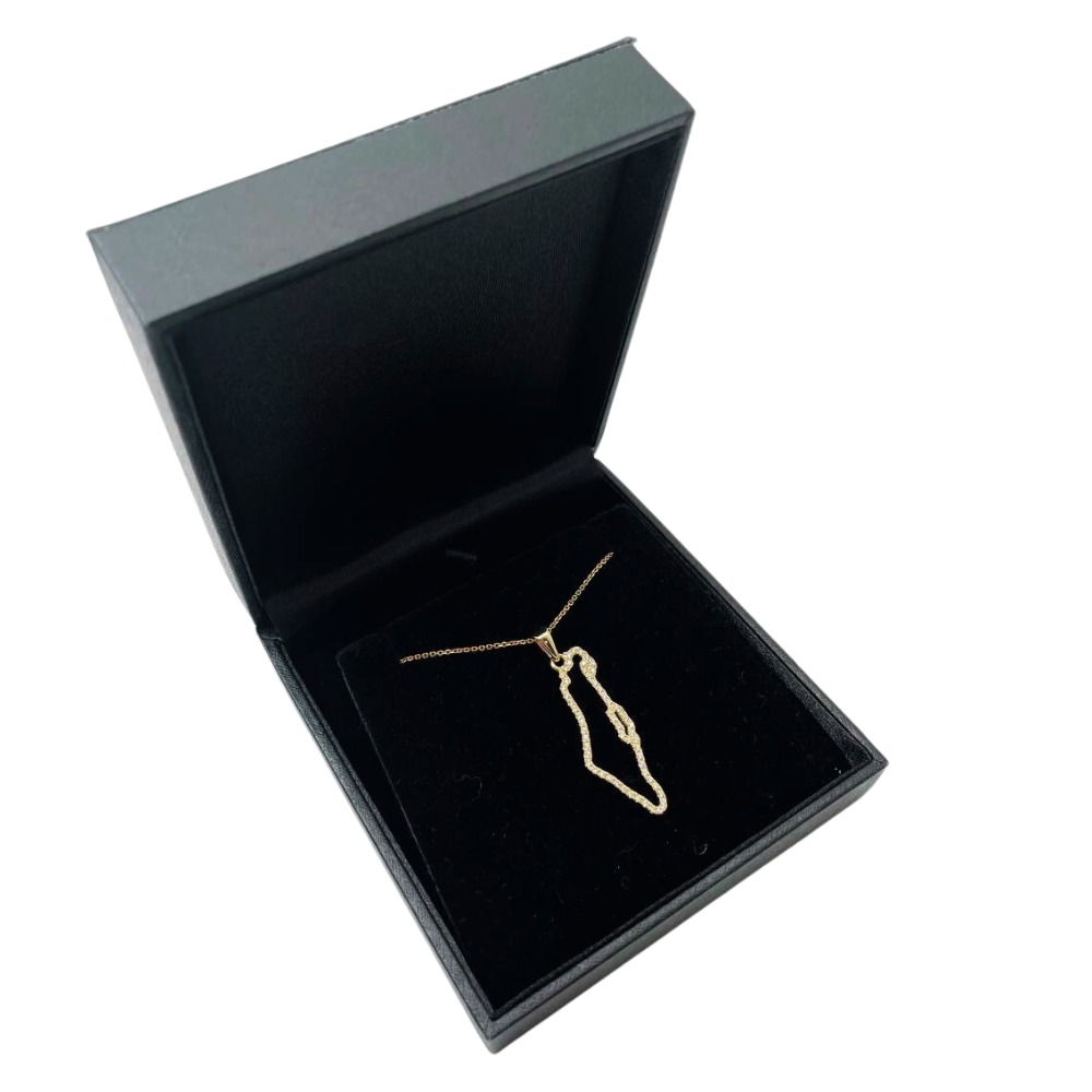Diamond Studded Map of Israel Pendant in 14K Gold
