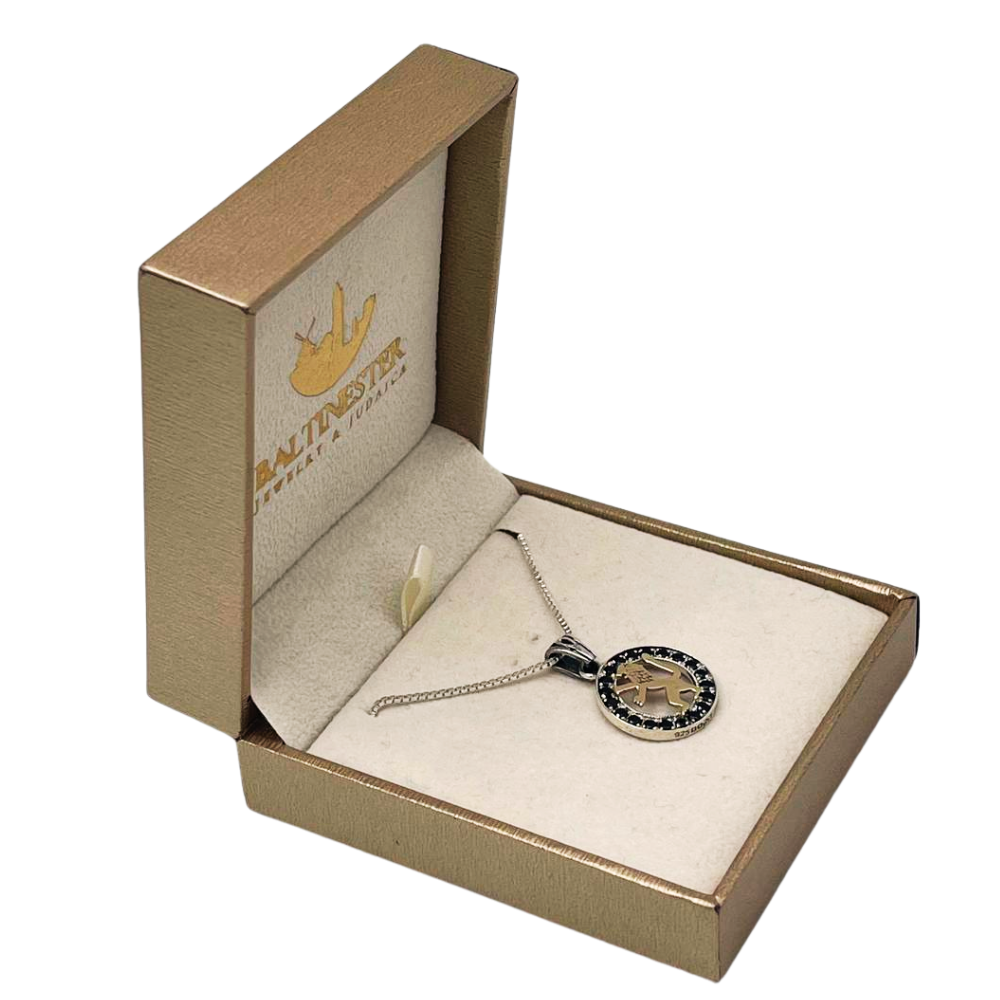 Lion of Judah Round Necklace in 9K Gold, Silver and Black Zircons