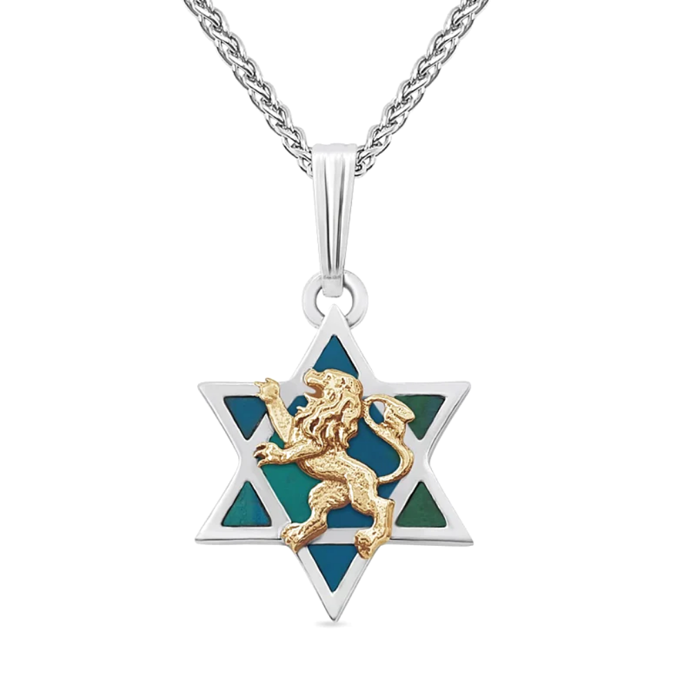Star of David Eilat Stone & Lion of Judah Necklace in Silver and Gold