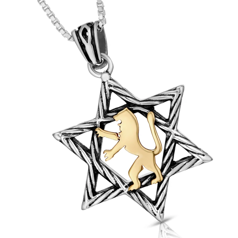 Lion of Judah & Star of David Necklace in 9K Gold and Silver