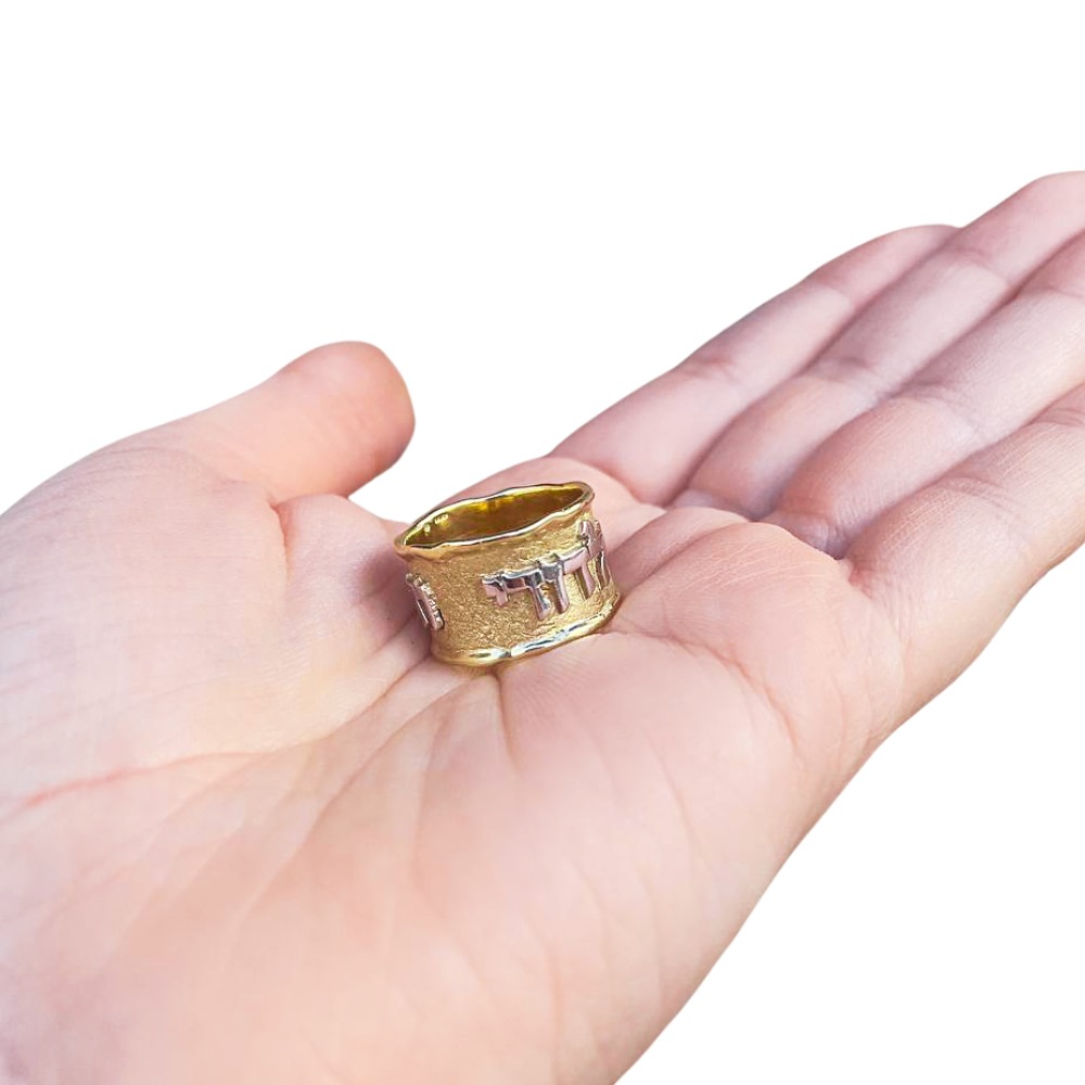 Jewish Wedding Band in 14k Two Tone Gold Ani L'Dodi