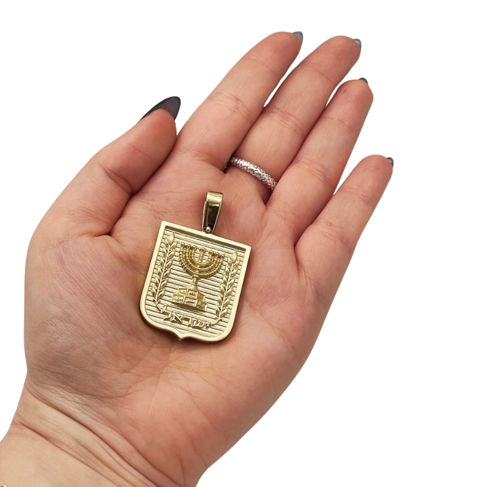 Emblem of Israel Pendant for Men in 14K Gold - Large