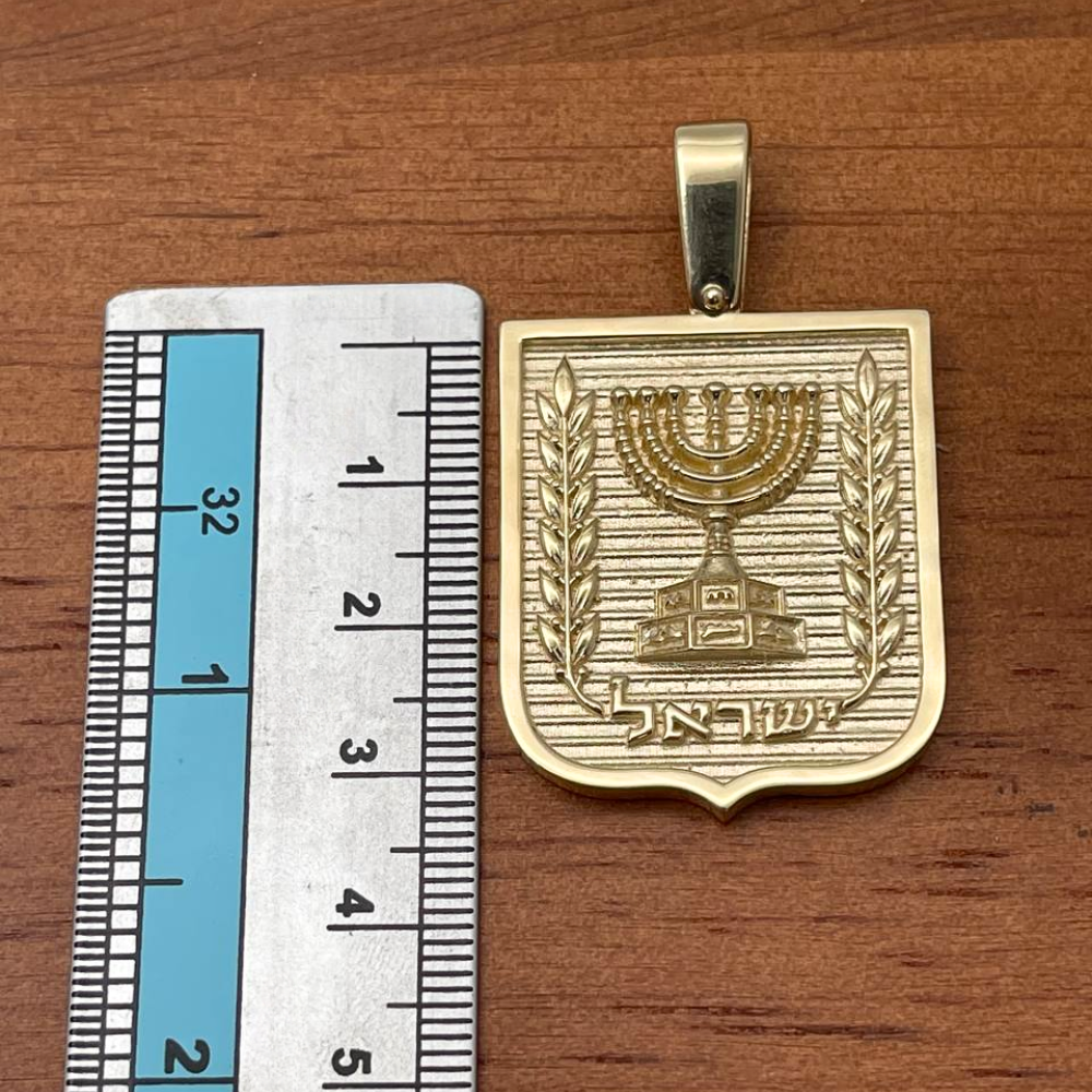 Emblem of Israel Pendant for Men in 14K Gold - Large