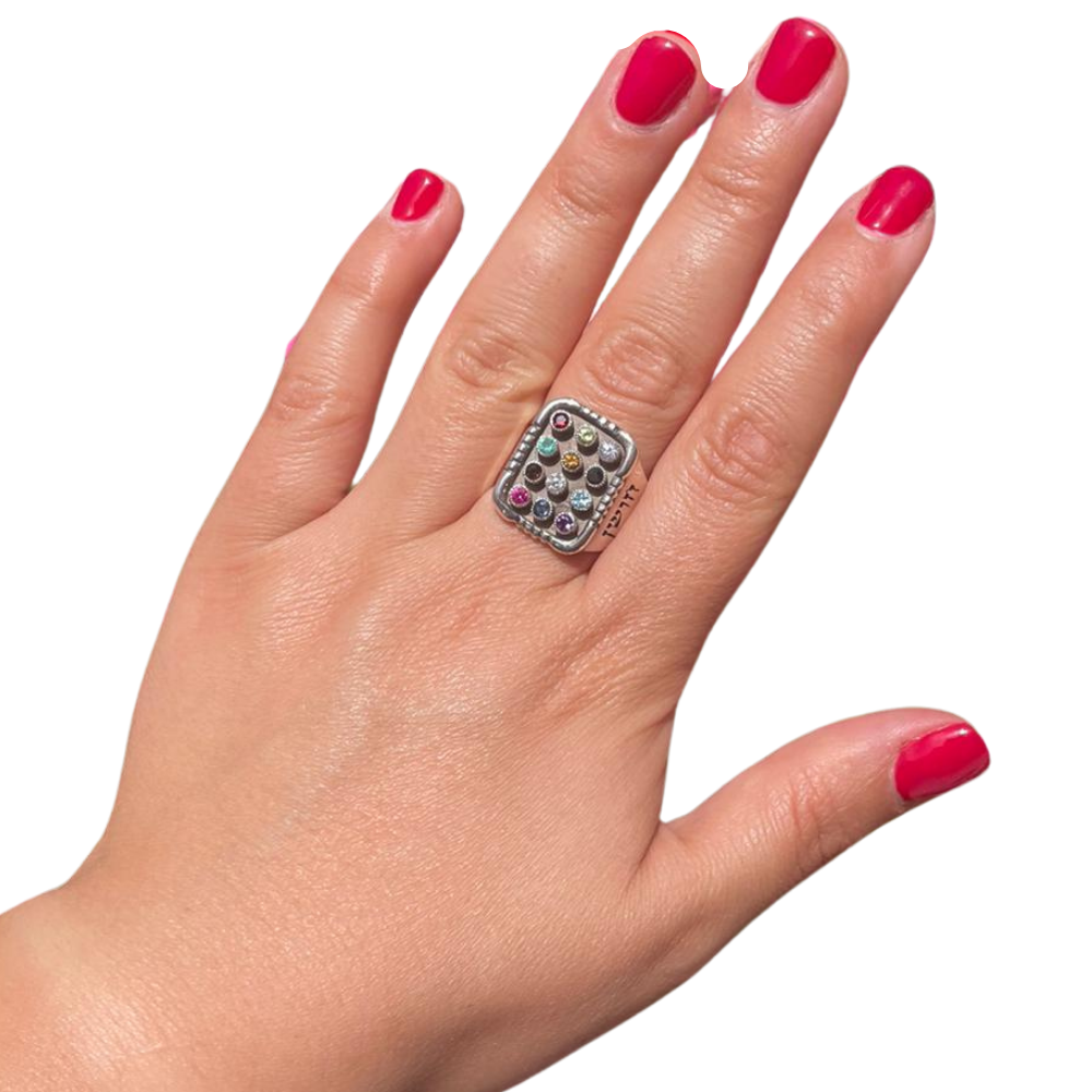 Sterling Silver Oxidized 12 Gemstones Hoshen Signet Ring