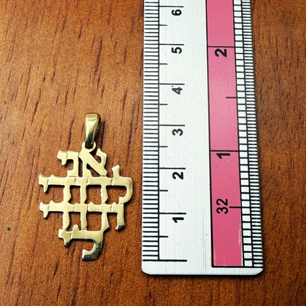 14K Gold Ani L'dodi Pendant
