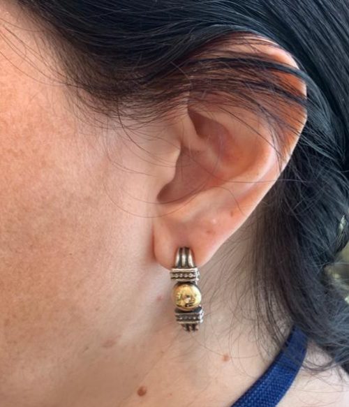 Silver and 14k Gold Hook Earrings